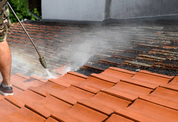 Best Commercial Building Pressure Washing  in Crivitz, WI