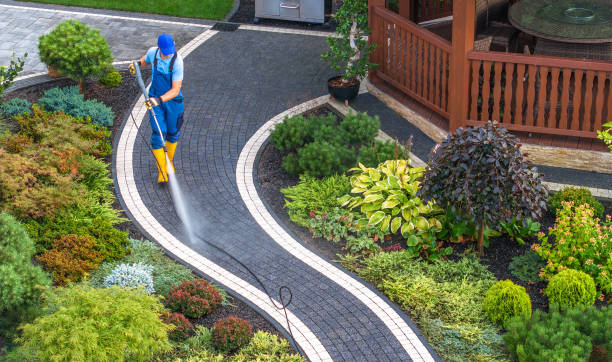 Best House Pressure Washing  in Crivitz, WI
